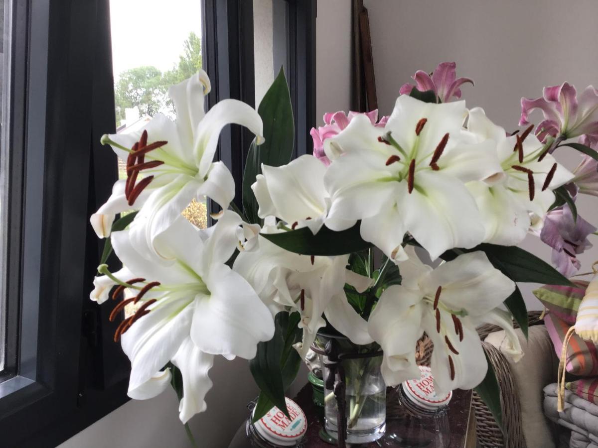 CouëronA La Guiniere别墅 外观 照片